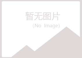 白河县字迹司机有限公司